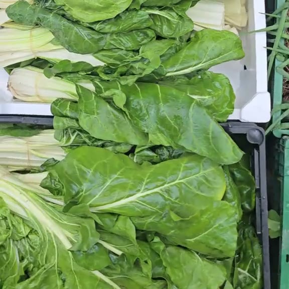 Mangold mit weißen Stielen in Kisten